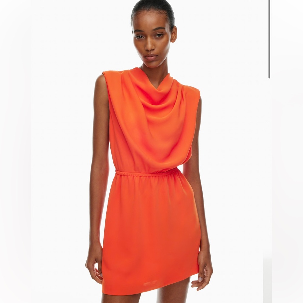 Aritzia Carter Sleeveless Dress NWT